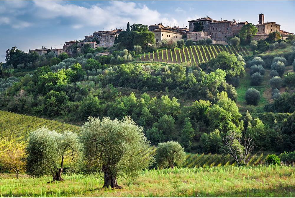 Opportunità di crescita reciproca
